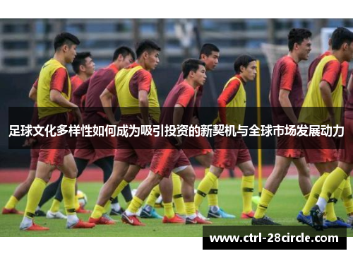 足球文化多样性如何成为吸引投资的新契机与全球市场发展动力