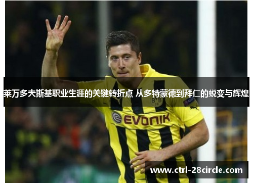 莱万多夫斯基职业生涯的关键转折点 从多特蒙德到拜仁的蜕变与辉煌